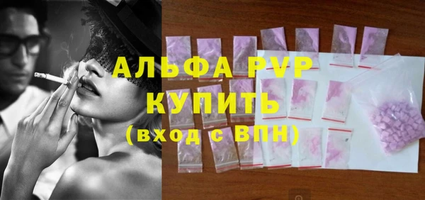 ECSTASY Богданович