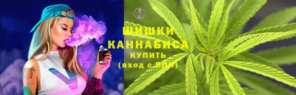 PSILOCYBIN Бронницы