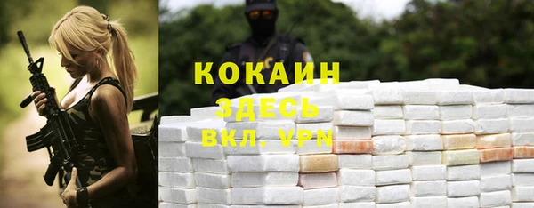ECSTASY Богданович