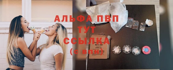 прущие крисы Бородино
