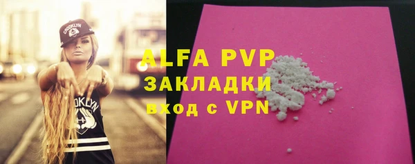 прущие крисы Бородино