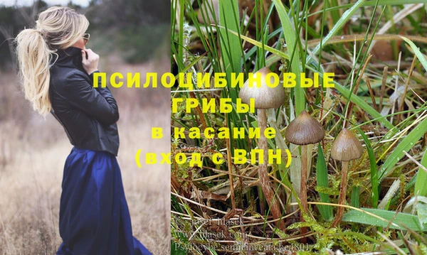 PSILOCYBIN Бронницы