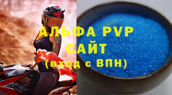 прущие крисы Бородино
