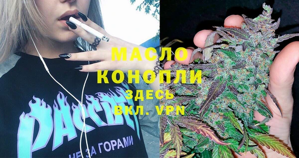 прущие крисы Бородино
