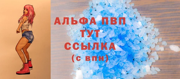 ECSTASY Богданович