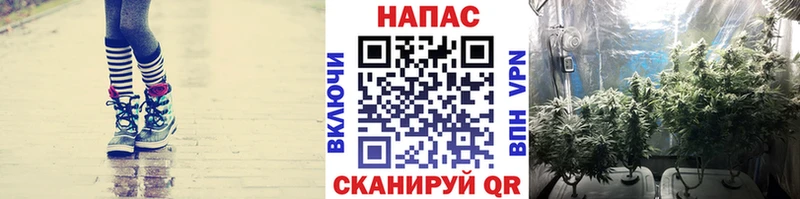 KRAKEN вход Городовиковск МАРИХУАНА сатива